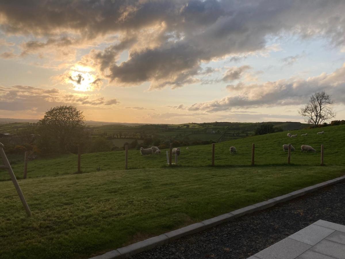 Vila Hillhead Country Retreat Castlewellan Exteriér fotografie