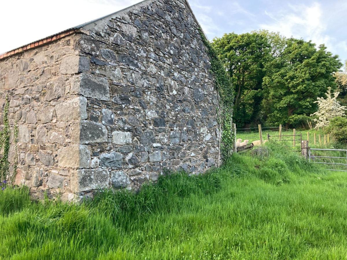 Vila Hillhead Country Retreat Castlewellan Exteriér fotografie